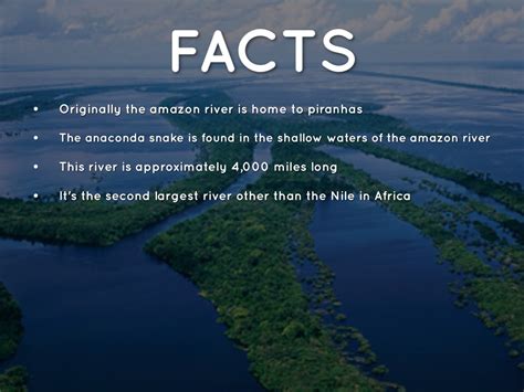 facts about amazon river.